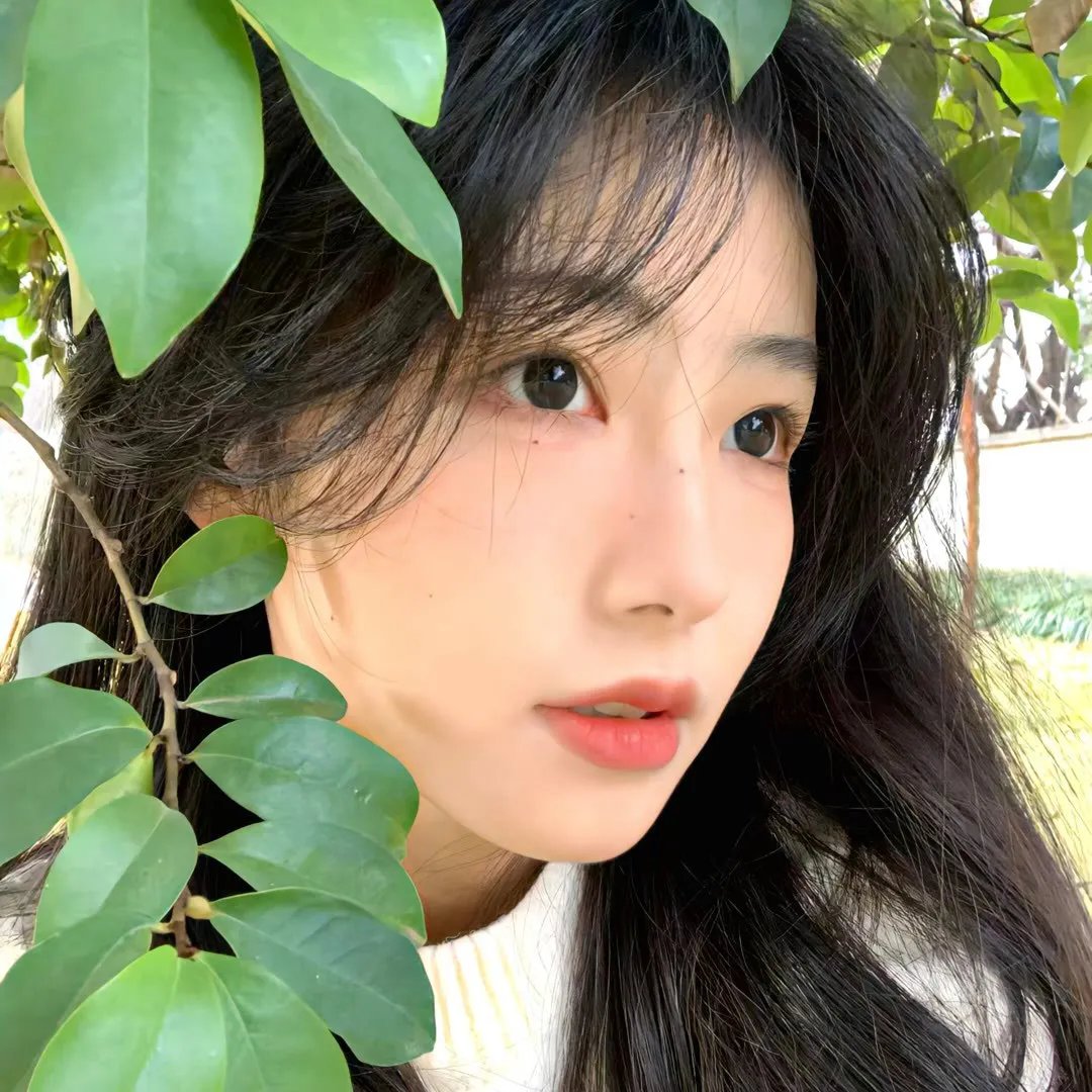 啊哈，叔比狗!